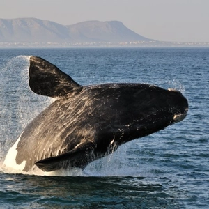 Delicious breakfast at Diaz Hotel