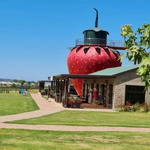 Delicious breakfast at Diaz Hotel