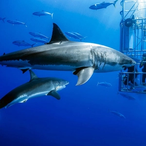 Delicious breakfast at Diaz Hotel